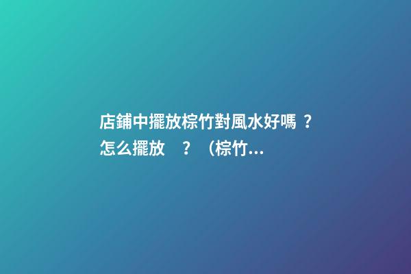 店鋪中擺放棕竹對風水好嗎？怎么擺放？（棕竹風水擺放知識）
